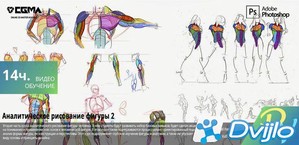 Скачать Michael Hampton / Analytical Figure Drawing 2 (2011) ПКRec (Ан
