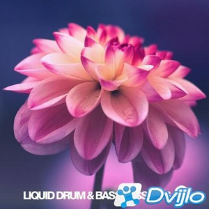 Скачать Various Artists - Liquid Drum & Bass Sessions: Vol 9 (2020) МП
