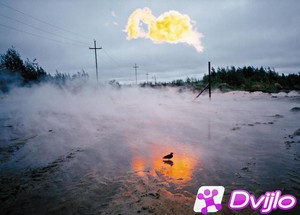 Скачать Игорь Гаврилов / Интенсивный курс профессиональной фотографии