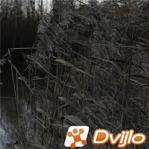 Скачать Aura Minimum - Fragments (2021/ФЛАК) torrent