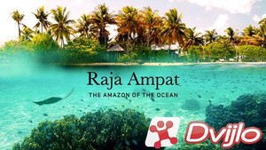 Скачать Раджа Ампат - Амазонка океана / Raja Ampat - The Amazon of the