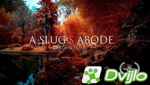 Скачать Обитель слизняков / A Slug´s Abode (2020/ВЕБРип/2160p) торрент