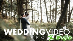 Скачать Jake Weisler / Wedding Video Pro (2020) ПКRec (Анг) торрент