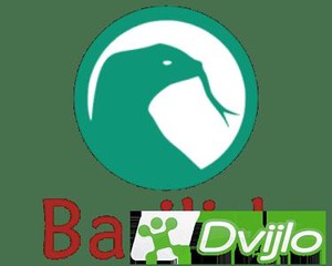 Скачать Basilisk 2021.03.11 + Портативный (Рус/Анг) торрент