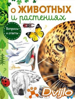 Скачать Алексей Смирнов, Александр Тамбиев, Юлия Касаткина / Вопросы и