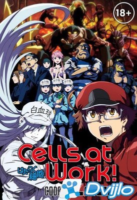 Скачать Клетки за работой: Тёмная сторона / Hataraku Saibou Black (TV-
