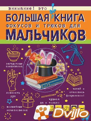 Скачать Виктория Ригарович / Большая книга для мальчиков. Большая книг