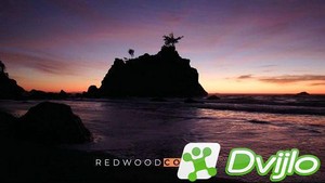 Скачать Побережье Редвуд / Redwood Coast (2021/ВЕБРип/2160p) торрент