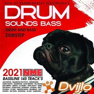 Скачать VA - Liquid Chill Bass (2021/МП3/320 Kbps) торрент