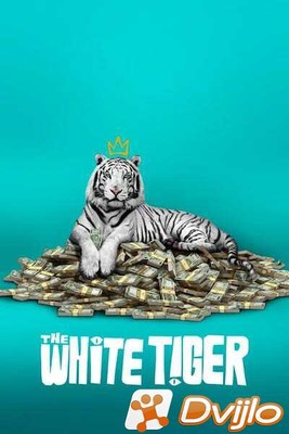 Скачать Белый тигр / The White Tiger (2021/ВЕБ-ДЛ/1080p) торрент