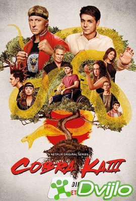 Скачать Кобра Кай / Cobra Kai (2021/ВЕБРип/720p) (сезон 3, серии 1-10