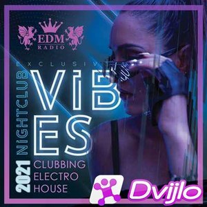 Скачать VA - Exclusive Nightclub Vibes Party (2021/МП3/320 Kbps) торре
