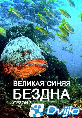 Скачать Великая синяя бездна (Великие океаны) / Great Blue Wild (2017/