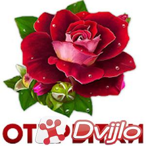 Скачать Открытки и картинки с поздравлениями v1.14.3 (Рус) торрент