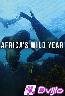 Скачать Год в дикой Африке / Africas Wild Year (2021) UХДТВРип торрент