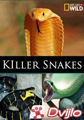 Скачать NGW. Змеи-убийцы / Killer snakes (2021/ХДТВ/1080i) (hand made