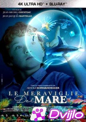 Скачать Чудеса моря / Le Meraviglie Del Mare (Wonders of the Sea) (201