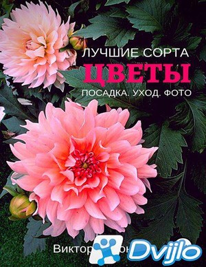 Скачать Виктория Зонова / Цветы. Лучшие сорта. Посадка. Уход. Фото (20