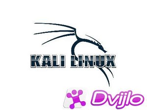 Скачать Kali Linux 2021.1 (ex. BackTrack) (amd64, i386) 6xДВД, 3xCD to
